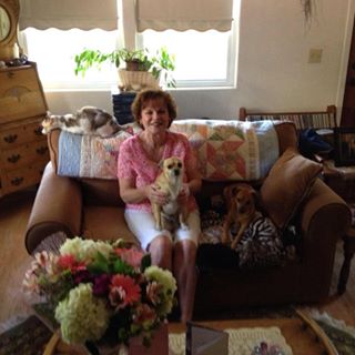 Profile Picture of Donna Patterson (@Donna-Patterson) on Facebook