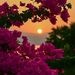Profile Picture of Debbie Witt (@dlwitt1) on Pinterest