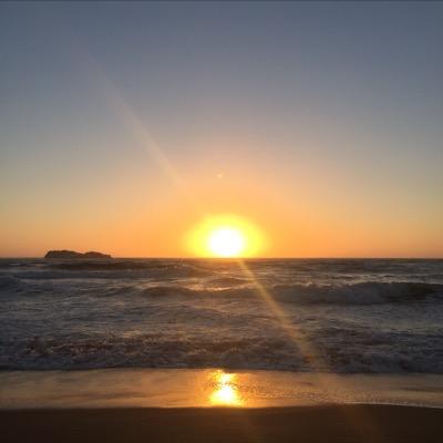 Profile Picture of Lisa Hoeft (@HoeftLisa) on Twitter