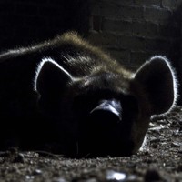 Profile Picture of Brian Corry (@brian-corry) on Quora