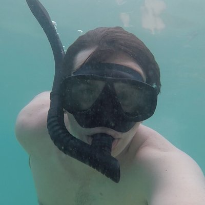 Gabe Richardson - Twitter Profile Picture of Gabe Richardson (@gibberale) on Twitter