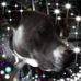 Profile Picture of Tammy Trapp (@tammy.trapp.5201) on Facebook