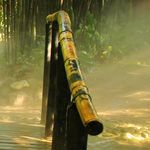 Leitz Kévin - Instagram Profile Picture of Leitz Kévin (@doralin__29__d) on Instagram