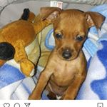 Profile Picture of danydippo (@daniela.dippolito74) on Instagram