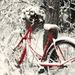 Profile Picture of Diane Conley Secrest (@bfr9303) on Pinterest