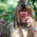 Profile Picture of Edward L. Klinger (@edward.l.klinger) on Facebook