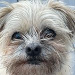 Profile Picture of Zachary Nagel (@zach__nagel) on Instagram