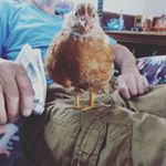 Profile Picture of Rusty Jenkins (@rustyjenkins1) on Instagram