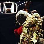 Profile Picture of cliff Perez (@king_420_9149) on Instagram