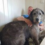 Profile Picture of Frank Ludvigsen (@frank.ludvigsen.52) on Instagram