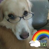 Profile Picture of Paula Devos (@paula-devos-1) on Quora