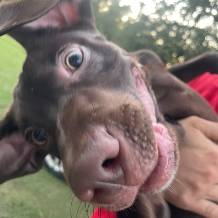 Profile Picture of hailey craven (@cravenhailey06) on Tiktok