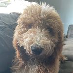 Profile Picture of Riane Tolbert Casper (@ri_isme69330) on Instagram
