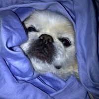 Profile Picture of Debra Ranson (@debra-ranson) on Quora