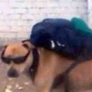 Profile Picture of Tommy O'malley (@doritolocostacos) on Myspace
