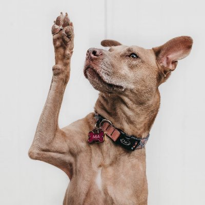 Profile Picture of Beverly Hicks (@Beverly04487878) on Twitter