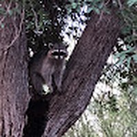 Profile Picture of Kevin Haney (@kevin-haney-51) on Quora