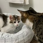 Profile Picture of Georgie & Hubert (@georgeandbert) on Instagram