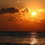 Martin Benko - Instagram Profile Picture of Martin Benko (@benkomartin1) on Instagram