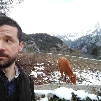 Profile Picture of Daniel Ferenczi (@danifv_) on Twitter