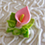 Profile Picture of Lorena Antonieta Salinas Queirolo (@lorena salinas queirolo) on Flickr