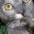 Profile Picture of Ruby Kitchens (@rubykitchens90) on Pinterest