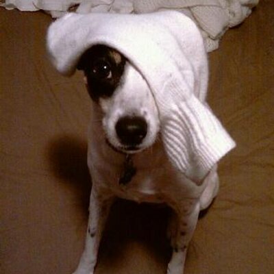 Daniel Newcomb - Twitter Profile Picture of Daniel Newcomb (@Mr0neTwo) on Twitter