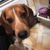 Profile Picture of Paul Paulson (@paul.paulson.9026) on Facebook