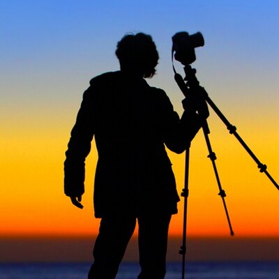 Profile Picture of Demian, Kim (@demianist) on Twitter