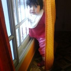 Profile Picture of David Fankhauser (@FankhauserDavid) on Twitter