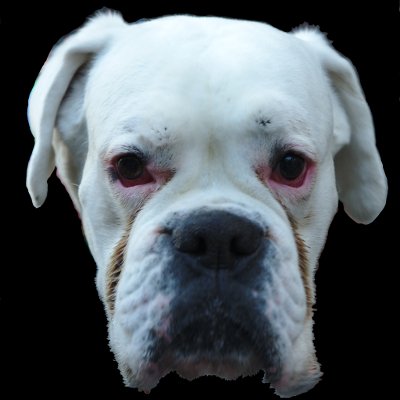 Profile Picture of Ariel T. Glenn (@weloveubeyonce) on Twitter