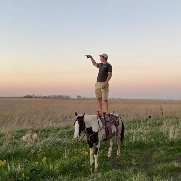 Profile Picture of matthew_field1 (@matthew_field1) on Tiktok