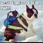 Profile Picture of Joe Hammett (@gamecockfan80) on Instagram