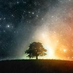 Profile Picture of Hailey Wolfe (@haileywolfe013) on Instagram