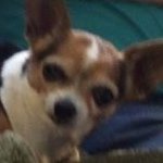 Profile Picture of Dixie Woods (@losingidiot) on Instagram