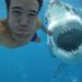 Profile Picture of Paul Holzapfel (@paulholzapfel) on Pinterest