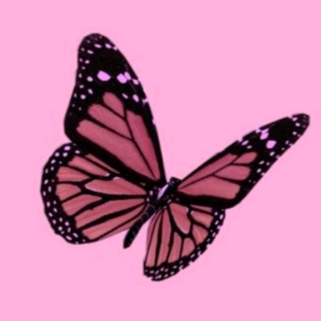 Profile Picture of Tamara (@tamarafranco707) on Tiktok