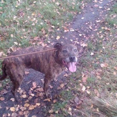 Profile Picture of Ian Baron (@IanBaron13) on Twitter