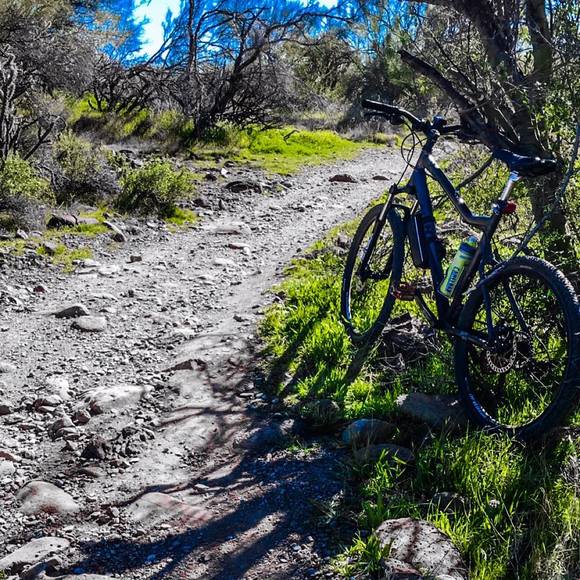 Profile Picture of Tony Dennis (@tonydennis651) on Poshmark