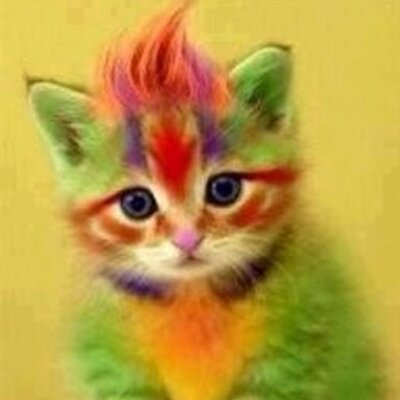 Profile Picture of Misty Barbee (@ilovepickles08) on Twitter