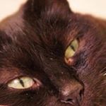 Profile Picture of Pascale Felix (@pastrzel) on Instagram