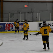 Profile Picture of Donna Leet (@deizeldakota) on Youtube