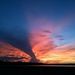Profile Picture of Steve Whitehurst (@condosteve0502) on Pinterest