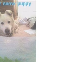 Profile Picture of Sherry Starks (@211172725) on Myspace