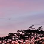 Profile Picture of Aron Grande (@Aron-Grande) on Facebook