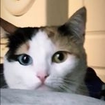 Profile Picture of Zack Erickson (@iamzackerickson) on Instagram