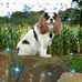 Profile Picture of Bert Belle Taylor (@bertbelle.taylor.1) on Facebook