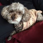 Profile Picture of Gareth Meyer (@garethwmeyer) on Instagram