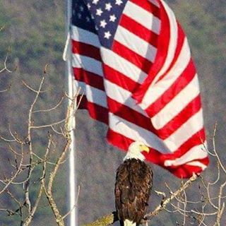 Profile Picture of Jeff Cemper (@jeff.cemper) on Facebook