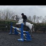 Profile Picture of Kate Montgomery (@k.m_equine) on Instagram